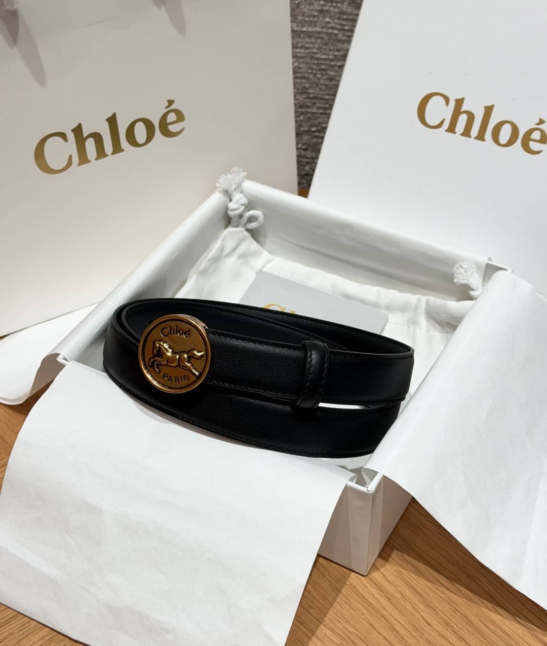 Chloè Belt-016